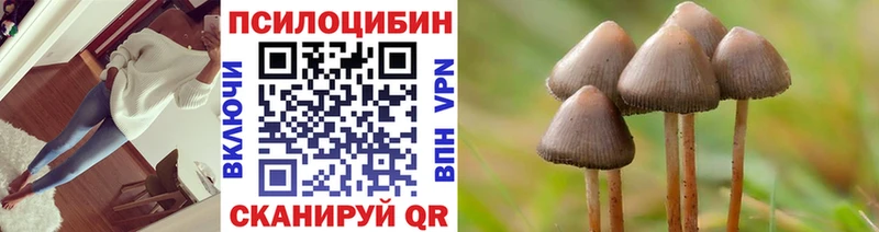 Галлюциногенные грибы MAGIC MUSHROOMS  hydra как зайти  Вятские Поляны 