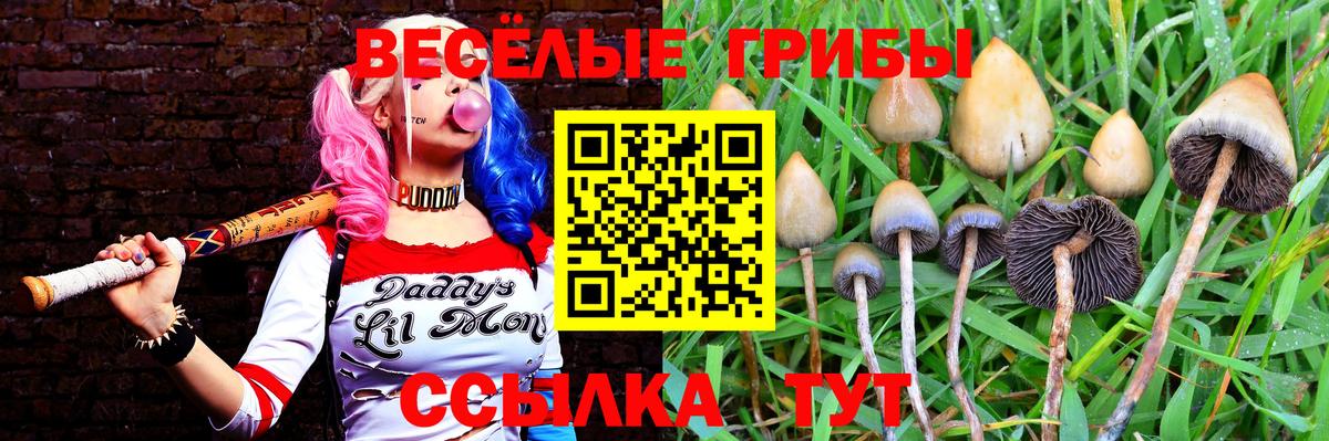 Галлюциногенные грибы Magic Shrooms  Вход с VPN  Вятские Поляны 