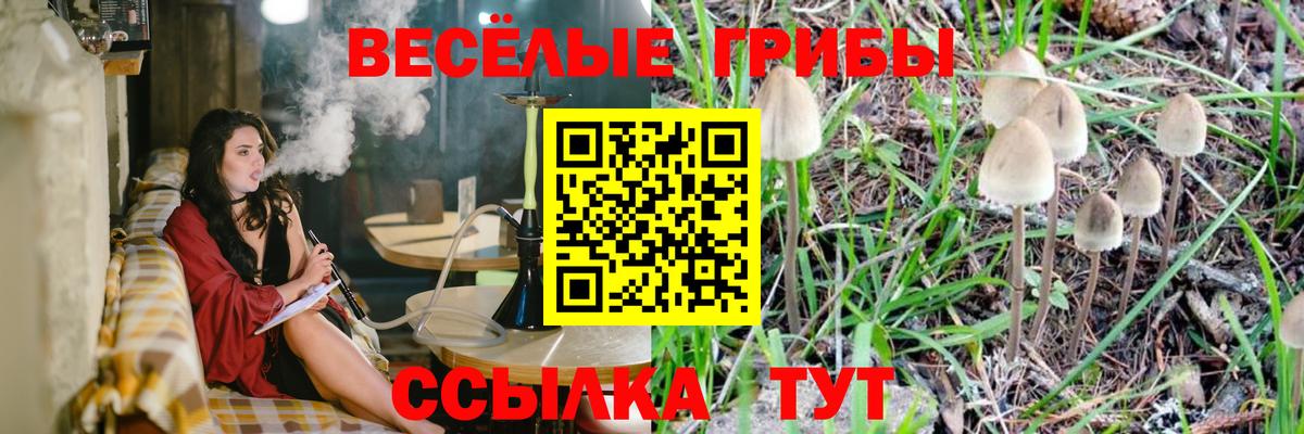 Галлюциногенные грибы Magic Shrooms Вятские Поляны