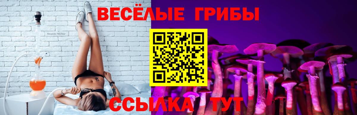 Псилоцибиновые грибы Magic Shrooms Вятские Поляны